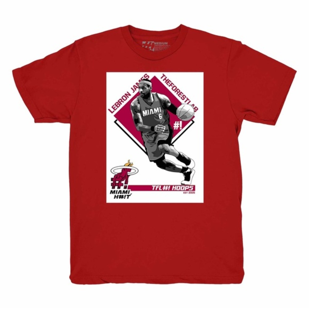 King James Miami Heat Lebron James (red is cardinal)